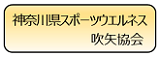 神奈川県スポーツウエルネス吹矢協会