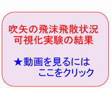 吹矢飛沫飛散実験結果